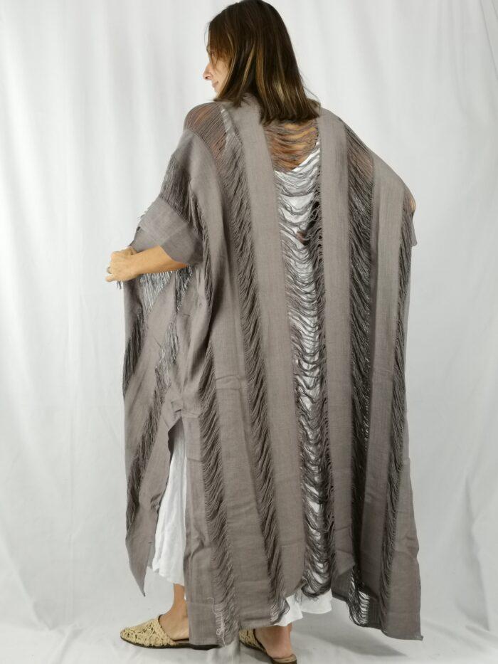 IMG_20250216_125559 IMG 20250216 125559